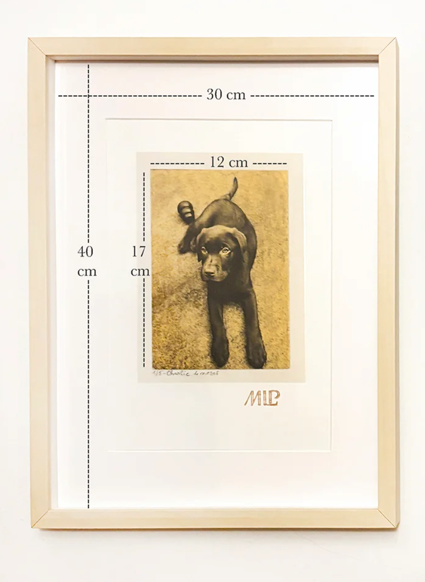 Option: change for a 12 x 16 in. or 12 x 12 in. / 30 x 40 cm or 30 x 30 cm mat ( for size 1 only )
